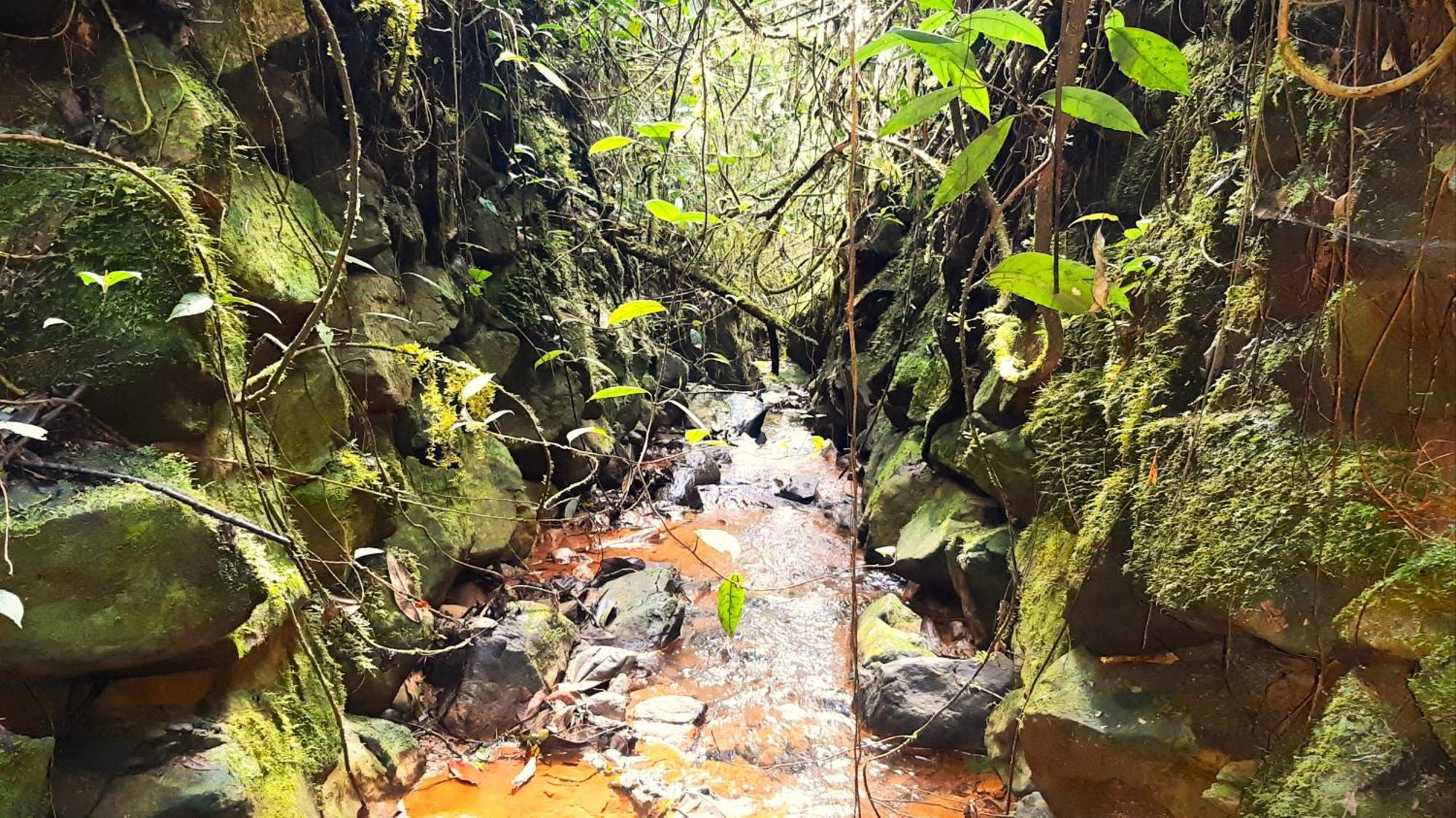 Encanto Minicasitas En Medio De La Naturaleza Santa Elena  Εξωτερικό φωτογραφία