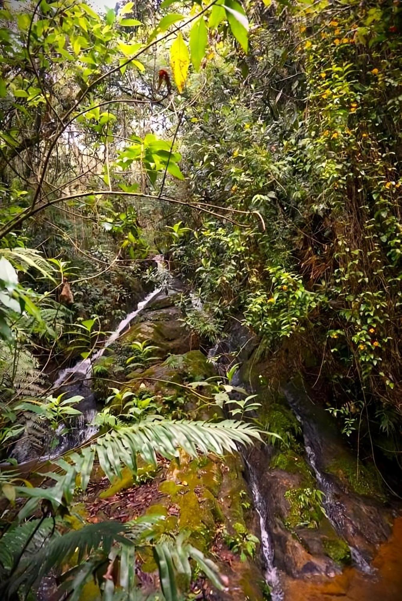 Encanto Minicasitas En Medio De La Naturaleza Santa Elena  Εξωτερικό φωτογραφία