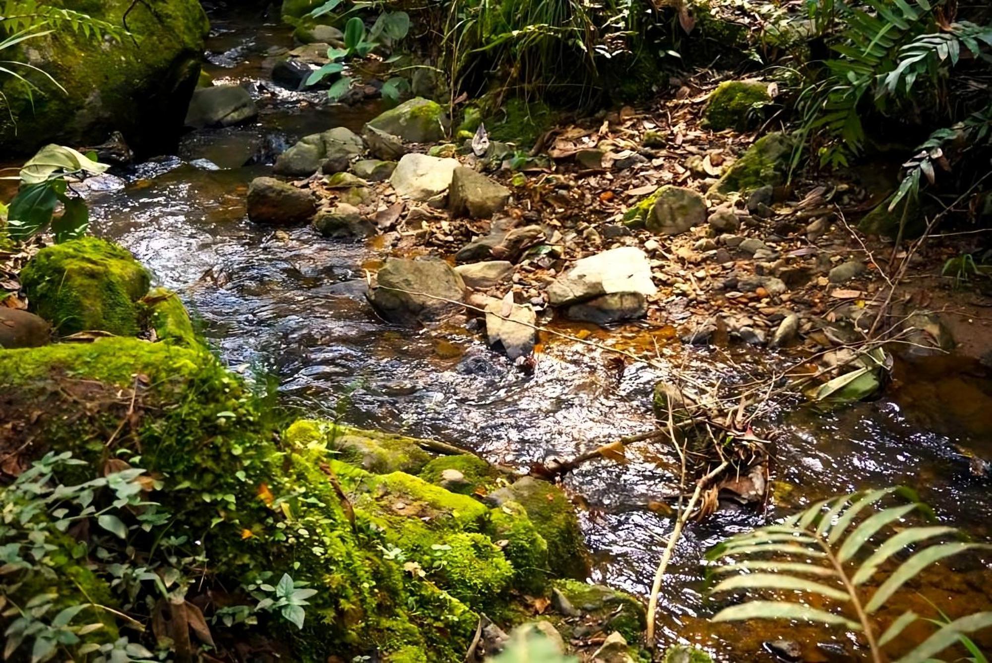 Encanto Minicasitas En Medio De La Naturaleza Santa Elena  Εξωτερικό φωτογραφία