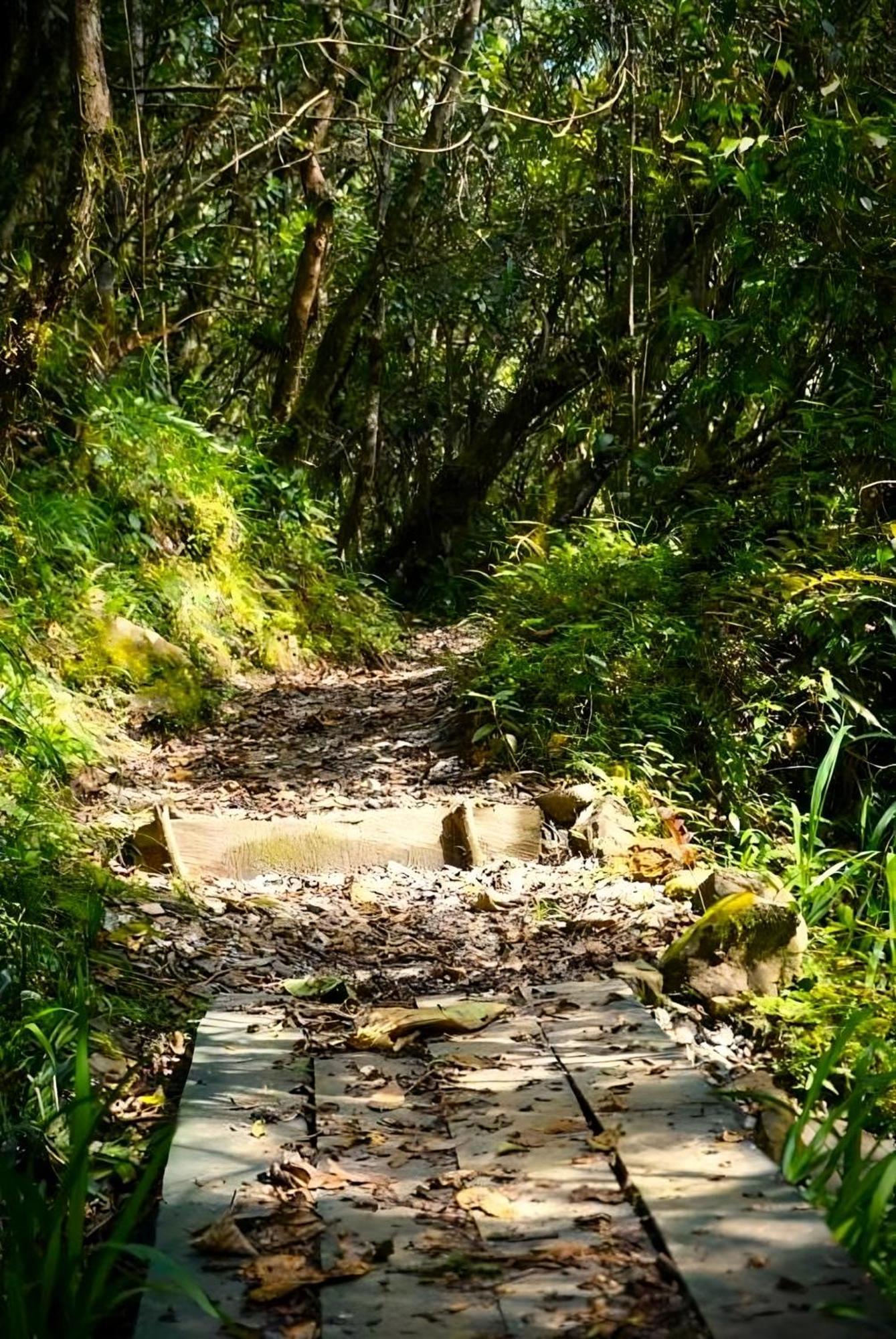 Encanto Minicasitas En Medio De La Naturaleza Santa Elena  Εξωτερικό φωτογραφία
