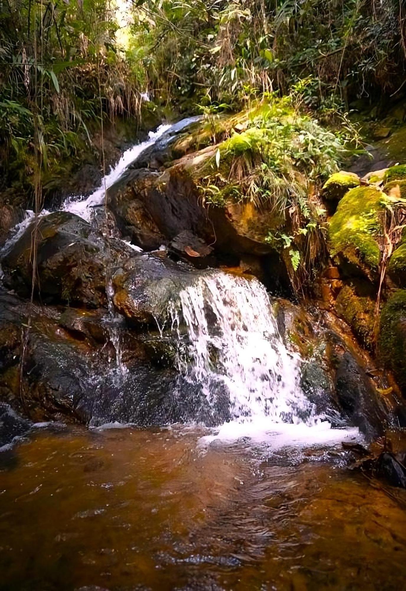 Encanto Minicasitas En Medio De La Naturaleza Santa Elena  Εξωτερικό φωτογραφία