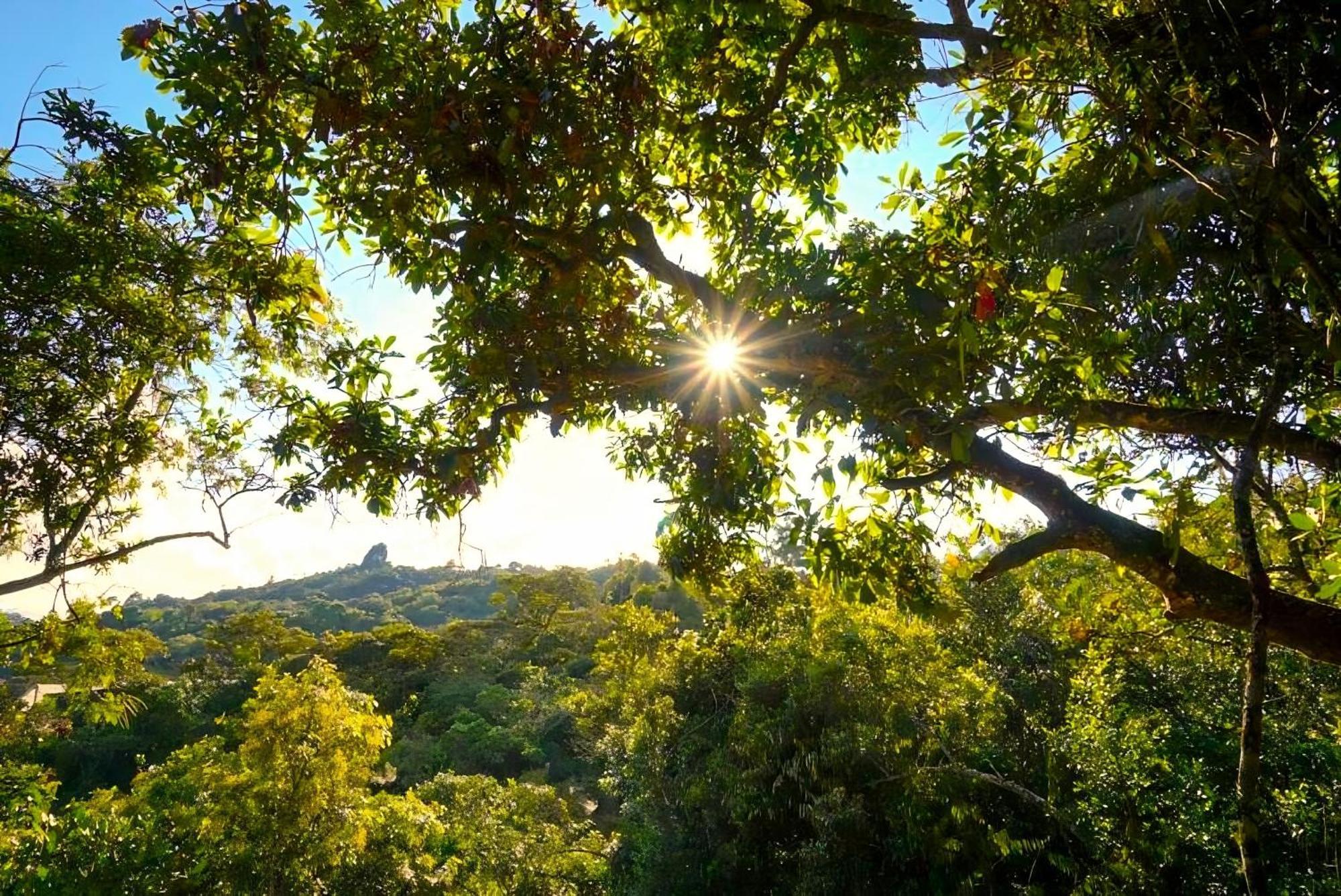 Encanto Minicasitas En Medio De La Naturaleza Santa Elena  Εξωτερικό φωτογραφία